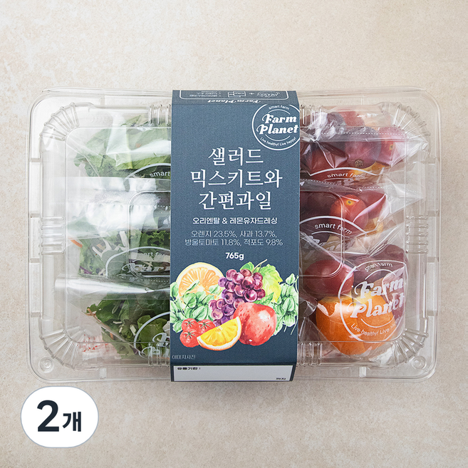 팜플래닛 샐러드 믹스키트와 간편과일, 765g, 2개