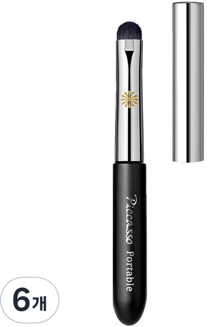 피카소 포터블 립 브러쉬, 6개