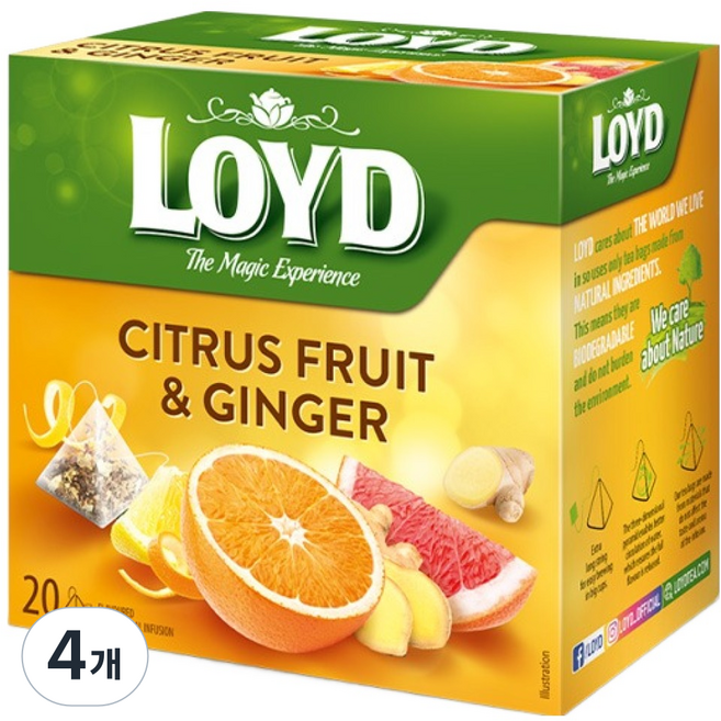 LOYD 시트러스 프룻 앤 진저 인퓨전 티백, 2g, 4개, 20개입