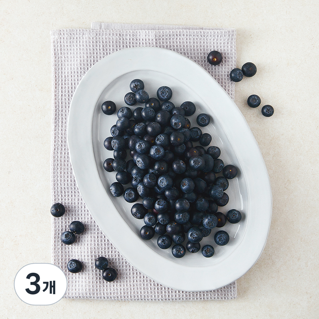 다조은 칠레산 블루베리, 3개, 310g
