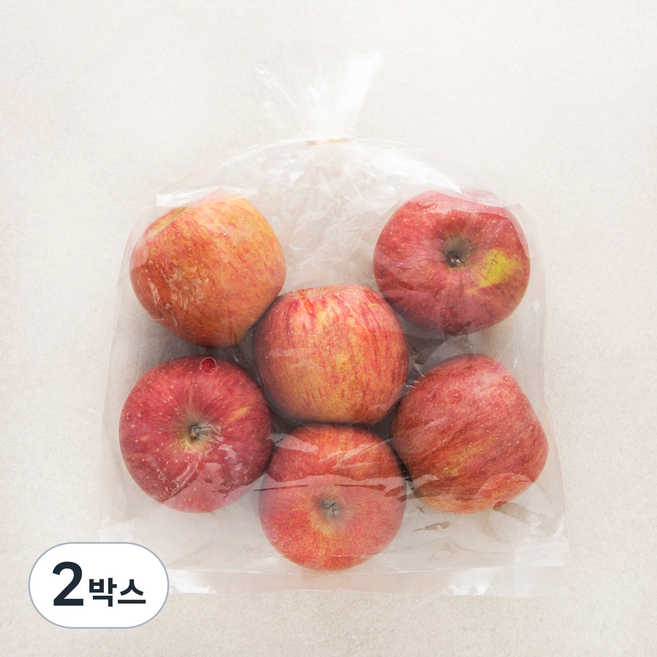 곰곰 당도선별 사과, 1.5kg(중과), 2봉