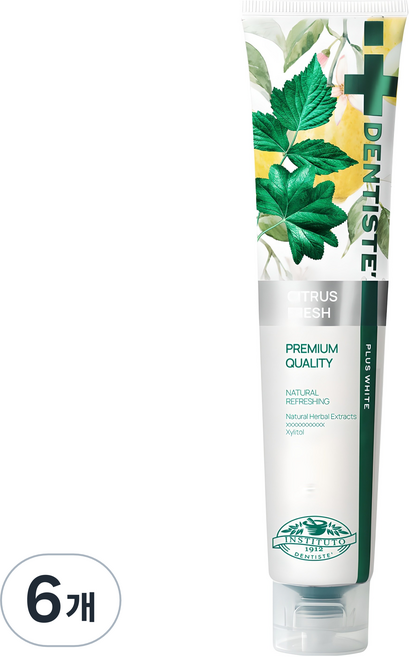덴티스테 시트러스 후레쉬 치약, 200g, 6개