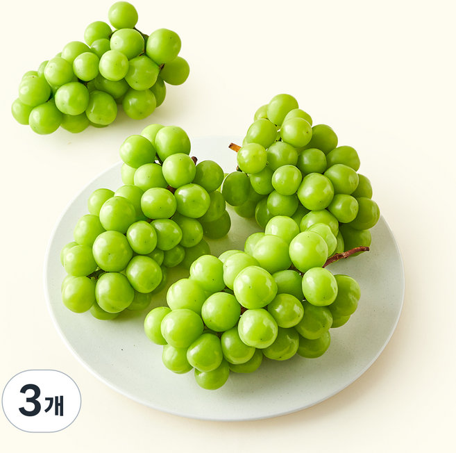 새벽시장 가락시장 샤인머스켓 3~5수, 3개, 2kg