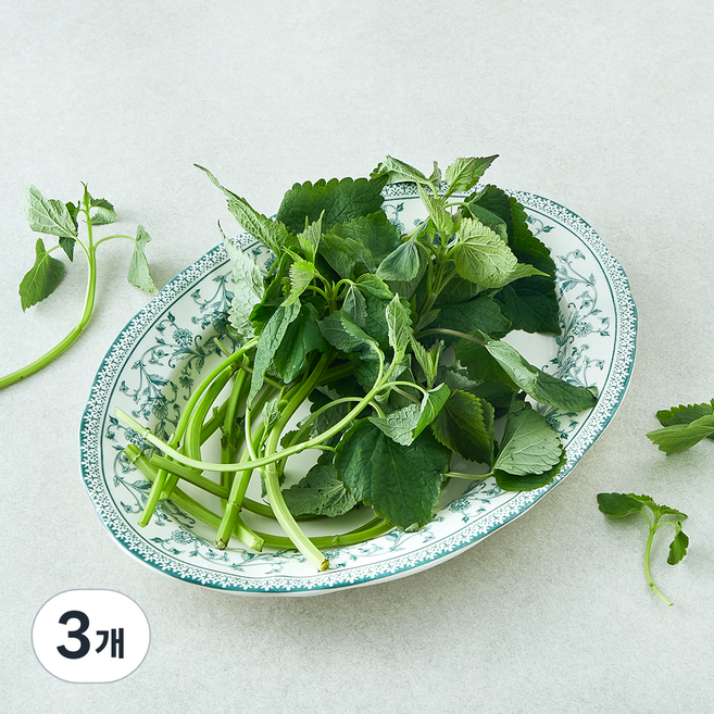 국내산 방아잎, 50g, 3개