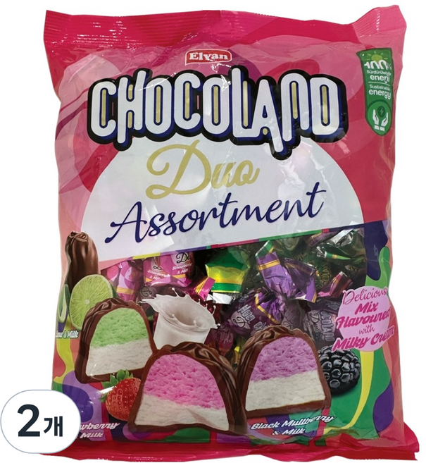 엘반 초코랜드 듀오 어솔트먼트 초콜릿, 2개, 500g