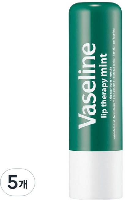 바세린 스틱 케어 립밤, 민트, 4.8g, 5개