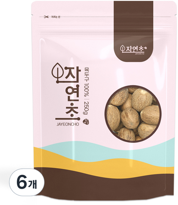 육두구 통 넛맥 너트맥, 6개, 250g