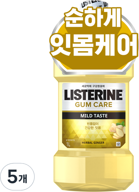 리스테린 검케어 마일드 구강청결제, 1L, 5개