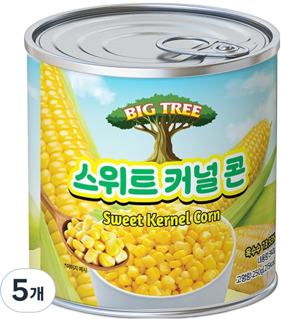 빅트리 스위트 커널 콘 캔, 340g, 5개