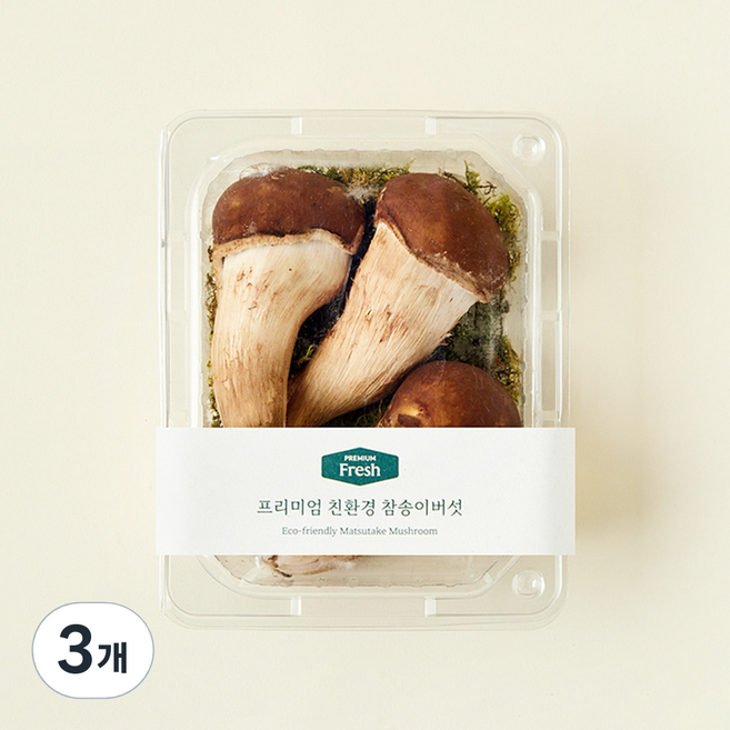 프리미엄 친환경 참송이버섯, 100g, 3개