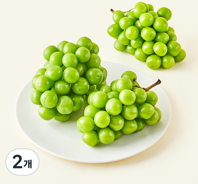 새벽시장 가락시장 샤인머스캣, 2개, 2kg