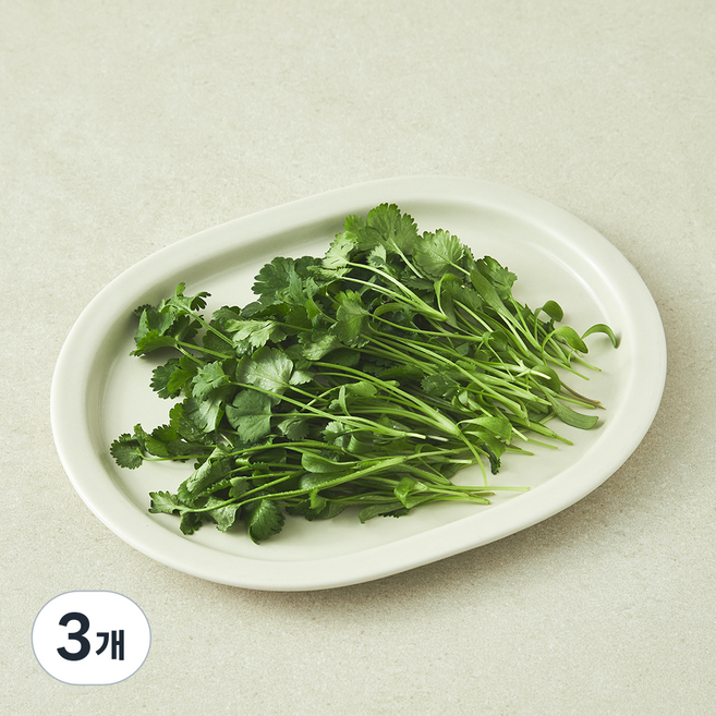 친환경 인증 어린 고수잎, 3개, 30g