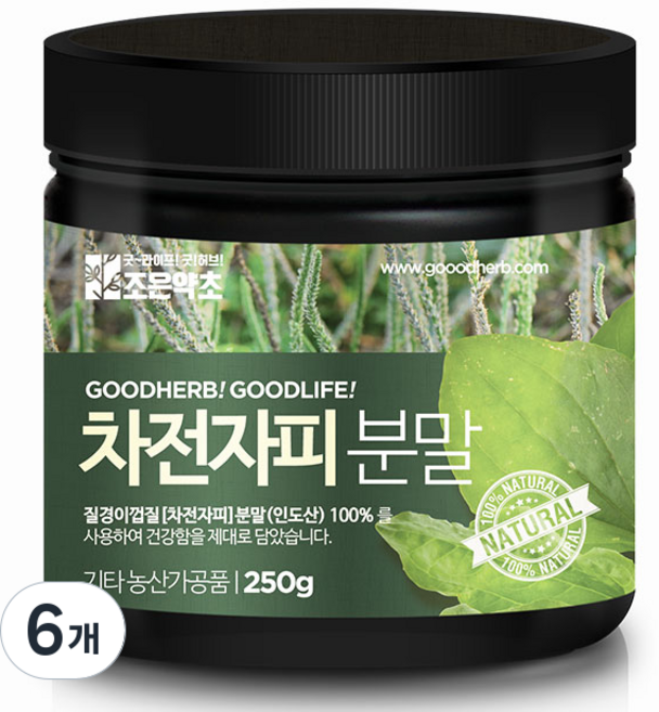 조은약초 차전자피분말, 6개, 250g