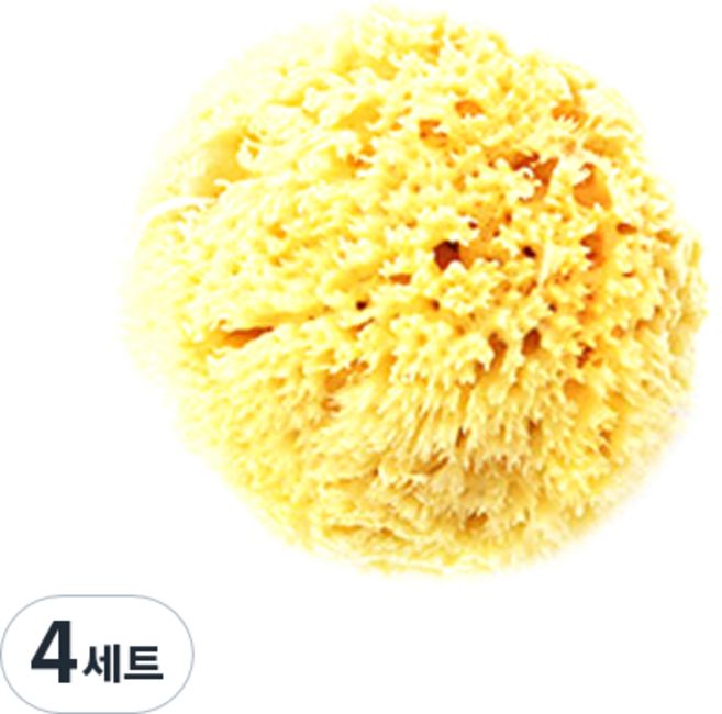 라그랑 해면 XL + 건조 집게, 4세트