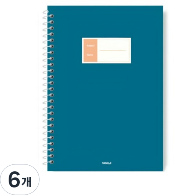양지다이어리 스프링노트 A, 랜덤발송, 6개