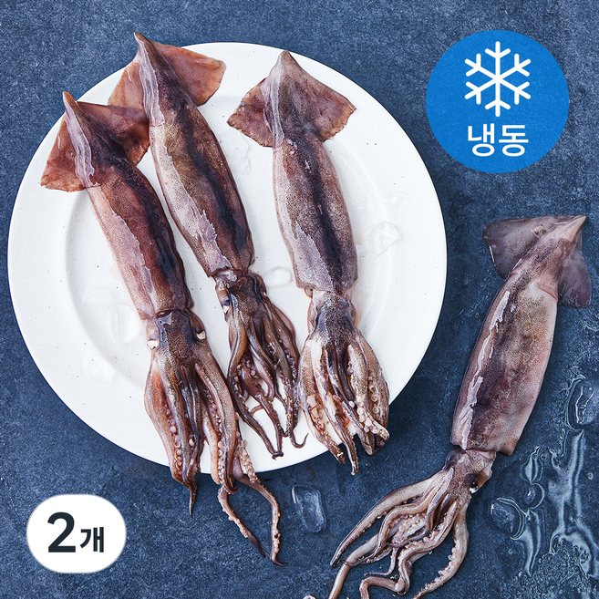 고소한 내장 한입 통찜용 오징어 4~7개입 (냉동), 500g, 2개