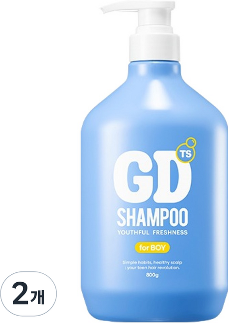 TS 지디 샴푸 포보이, 800g, 2개