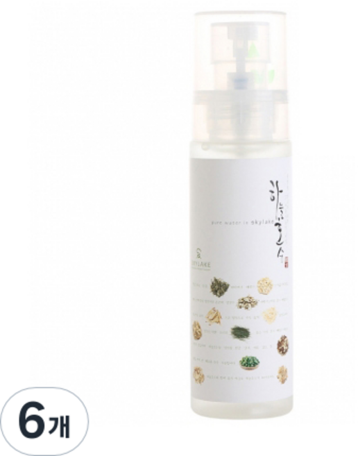 SKYLAKE 한방스킨, 100ml, 6개