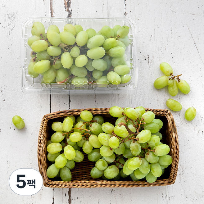 곰곰 칠레산 씨없는 청포도, 1.2kg, 5팩