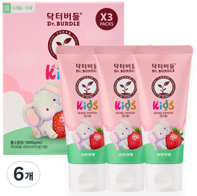 닥터버들 불소함유 어린이 치약 딸기향, 60ml, 6개
