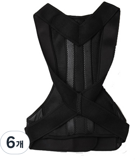 Murray 바른 자세밴드 PCB-150, 6개