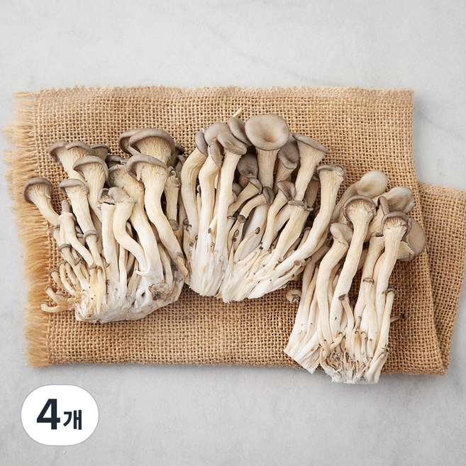 국내산 친환경 느타리버섯, 200g, 4개