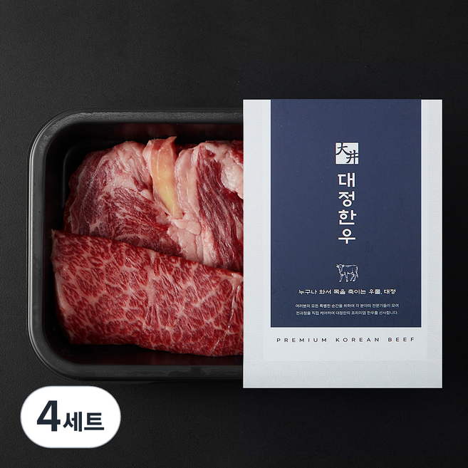 대정한우 등심 200g+살치살 50g 1++(9) (냉장), 250g, 4세트