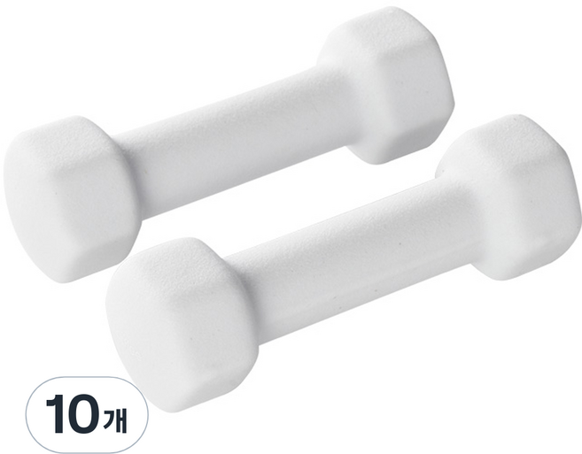 앳플리 LW 미용 아령, 1kg, 10개