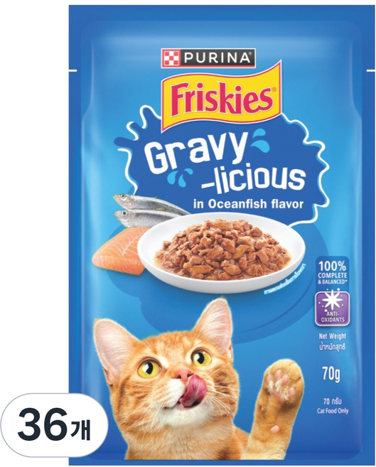 프리스키 고양이 퓨리나 그레이비 바다생선 주식 습식 파우치, 36개, 70g, 닭