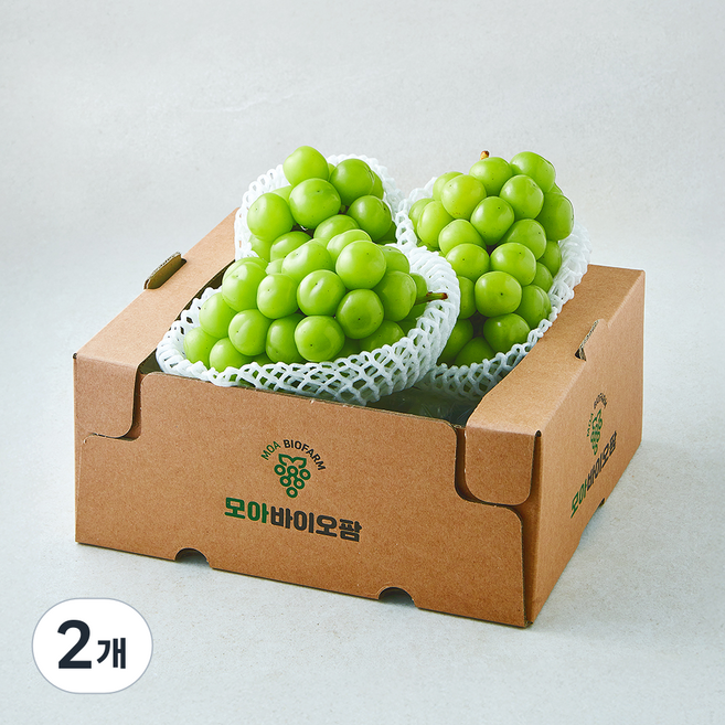 모아바이오팜 당도선별 샤인머스캣 2~4송이, 2개, 2kg