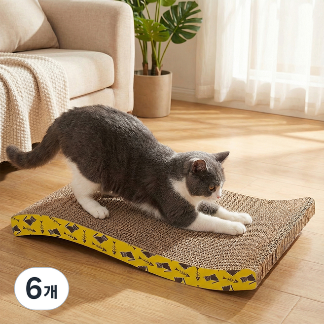 세이코코아 물결형 대형 평판형 캣스크래쳐, 혼합색상, 6개