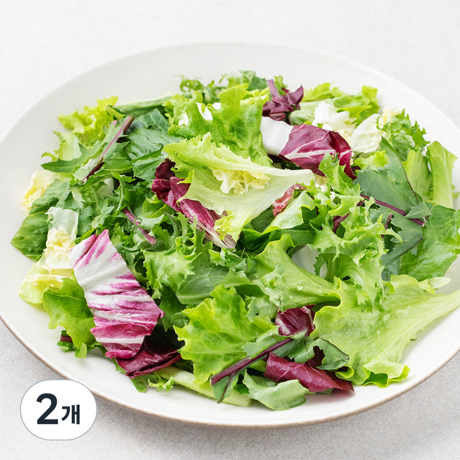 팜플래닛 신선함이 오래가는 샐러드 믹스, 800g, 2개