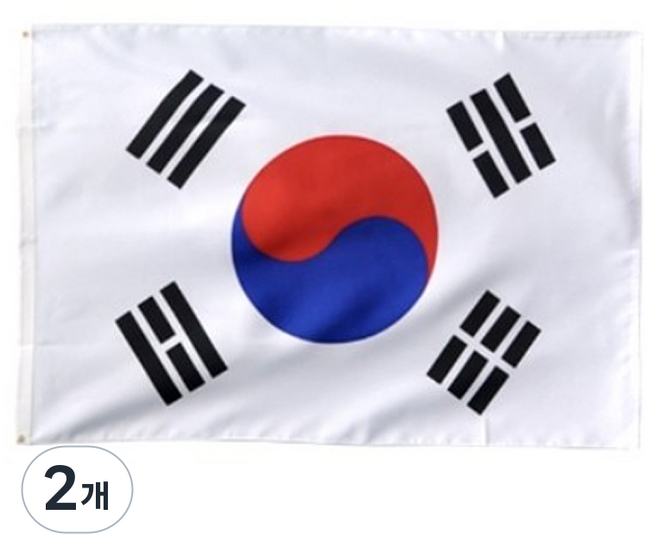 리빙다 태극기7호(90x135cm) 2개입, 혼합색상, 2개