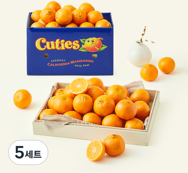 큐티 만다린 선물세트, 3kg, 5세트