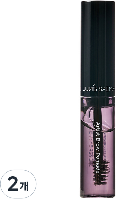 정샘물 아티스트 브로우 포마드, 2개