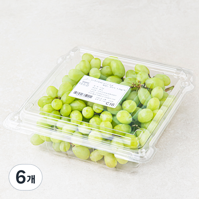 다조은 칠레산 씨없는 청포도, 1.2kg, 6개