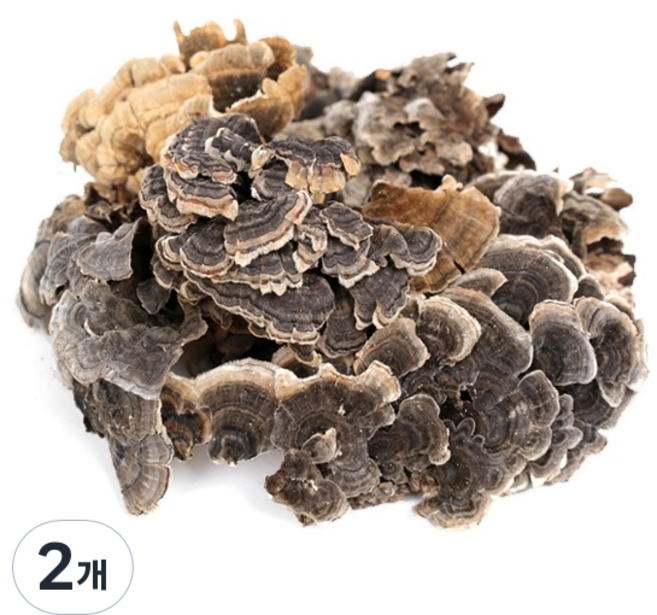 신선약초 운지버섯, 300g, 2개