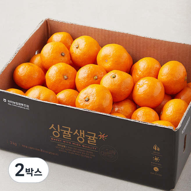 싱귤생귤 고당도 12brix 감귤, 3kg(랜덤과), 2박스