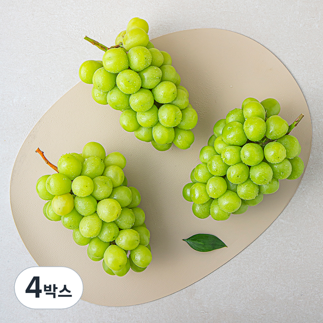 새벽경매 샤인머스켓 3~4수, 4박스, 2kg