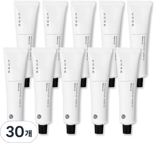 생활도감 민트향 치약, 100g, 30개