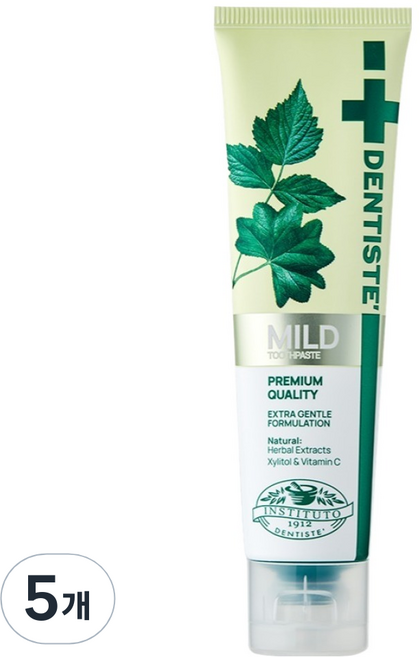 덴티스테 마일드 치약, 60g, 5개