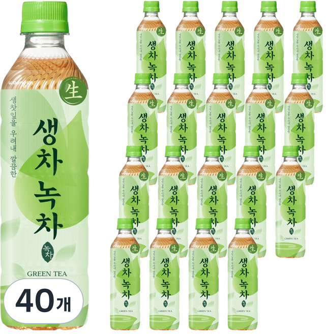 웅진 생차 녹차, 500ml, 40개