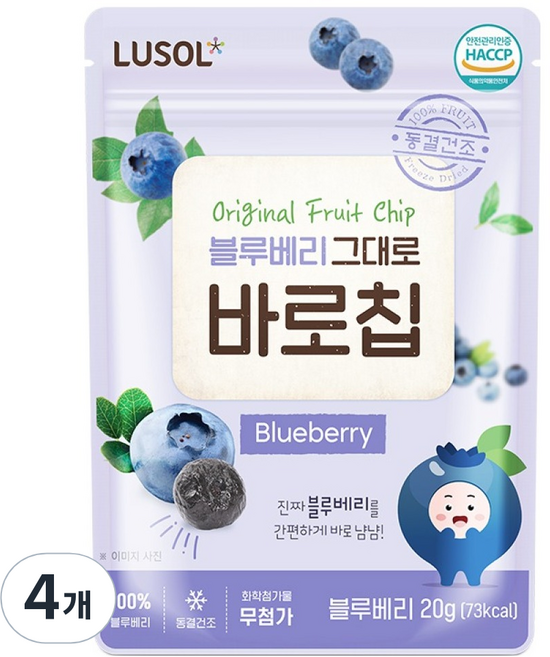 루솔 과일칩 블루베리 그대로 바로칩, 20g, 4개