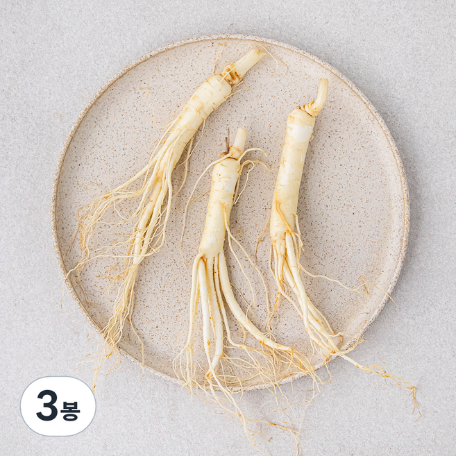 곧게 뻗은 금산 세척 수삼, 60g, 3봉