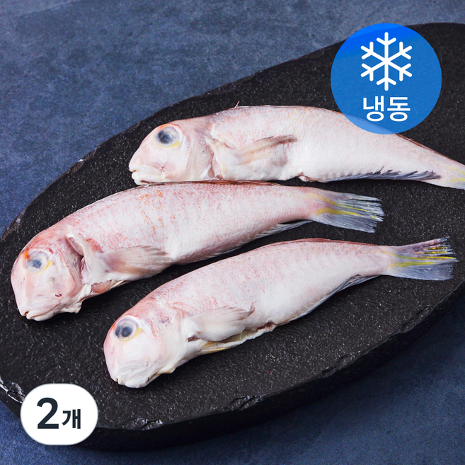 제주 통옥돔 3미 (냉동), 400g, 2개