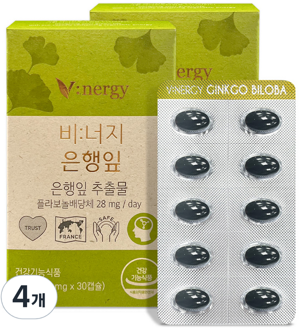 비너지 은행잎 영양제, 4개, 12g