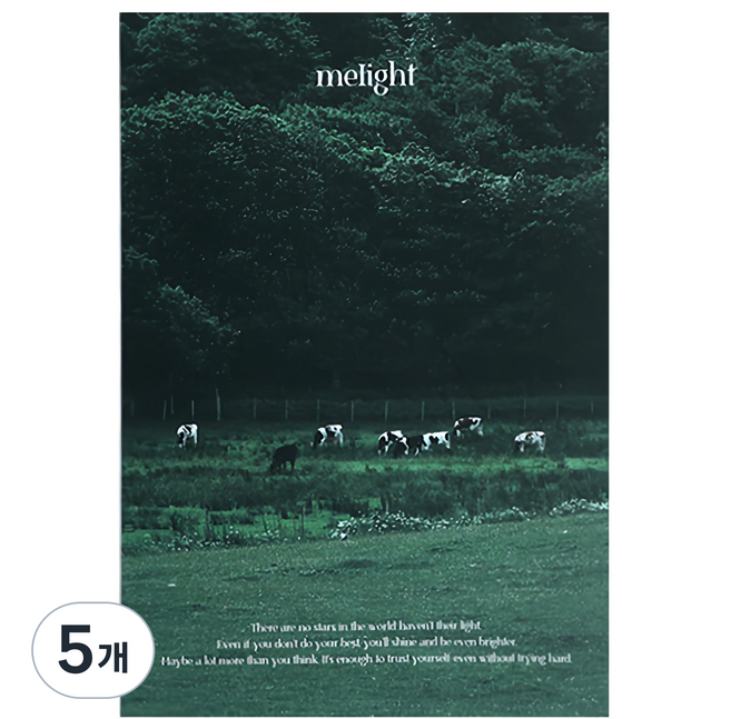 워너디스 미라이트 모눈 노트, 04 다크 포레스트, 5개