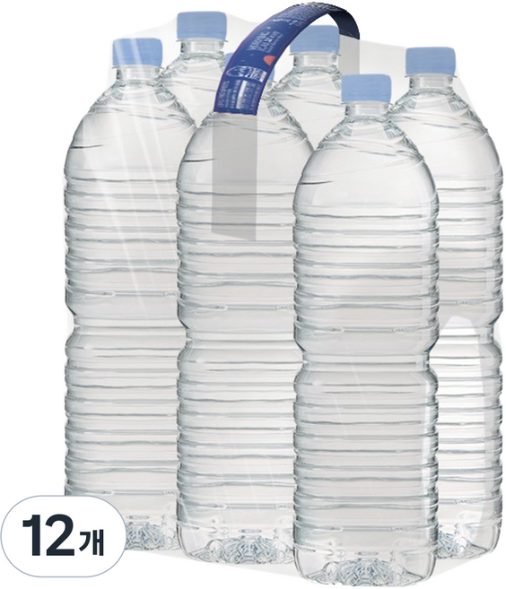 모닝캄 생수 무라벨, 12개, 2L