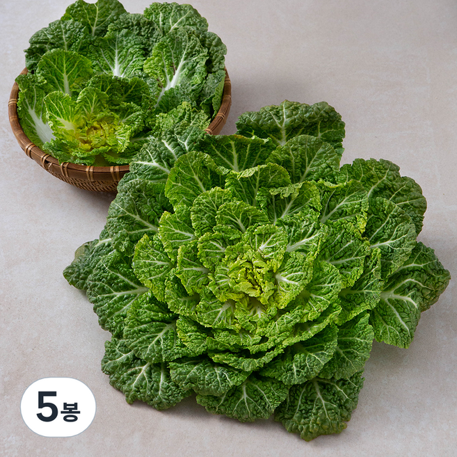 국내산 봄동, 500g, 5봉
