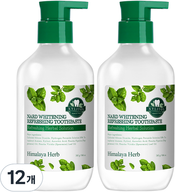 나드 미백 리프레싱 펌핑 치약, 240g, 12개